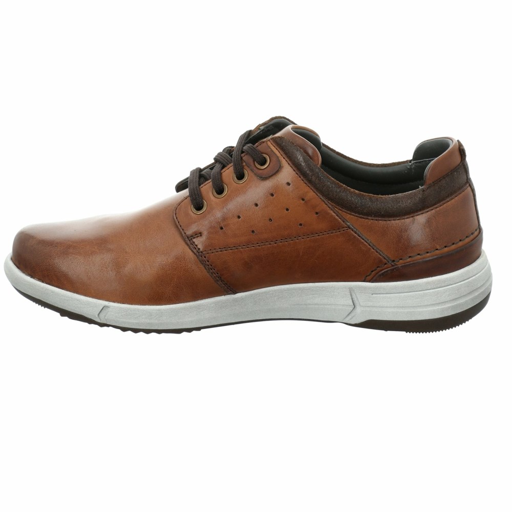 Brown Josef Seibel Enrico 13 Men's Sneakers | XZKW46578