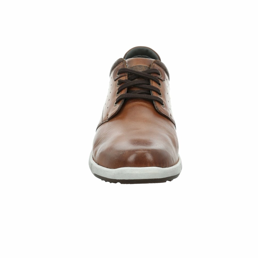 Brown Josef Seibel Enrico 13 Men's Sneakers | XZKW46578