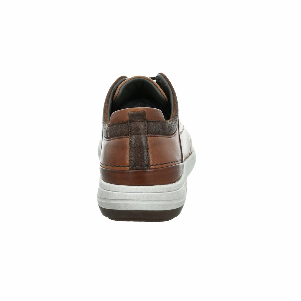 Brown Josef Seibel Enrico 13 Men's Sneakers | XZKW46578