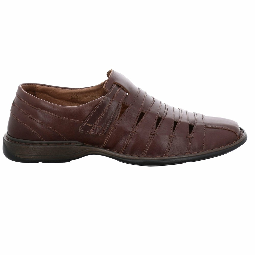 Brown Josef Seibel Steven Men's Slip On | EMIL72480